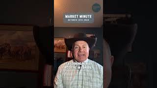 Miles Wowk's Market Minute for the week ending October 16th: US five-weight steers were up another 8