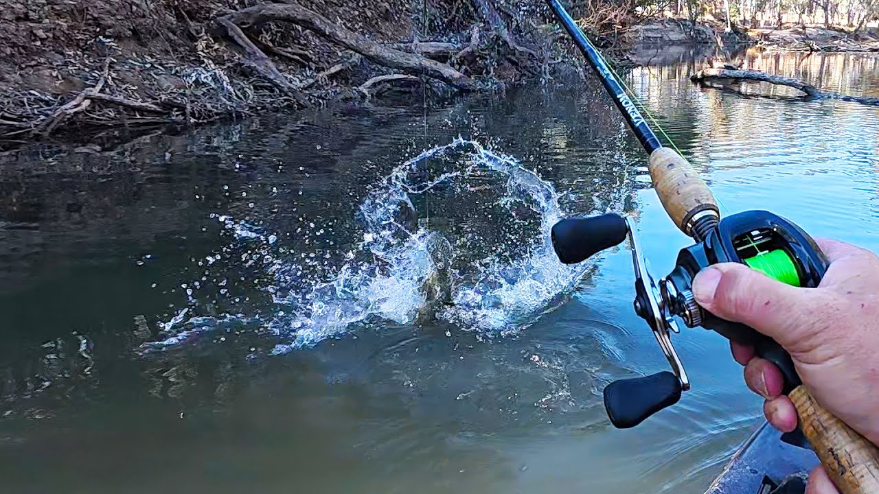 I've Never Experienced Murray Cod Fishing Like This In May