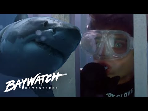 SHARK ATTACK! MATT Dives Into A Shark Cage & Drifts Away In Shark Infested Waters | Baywatch