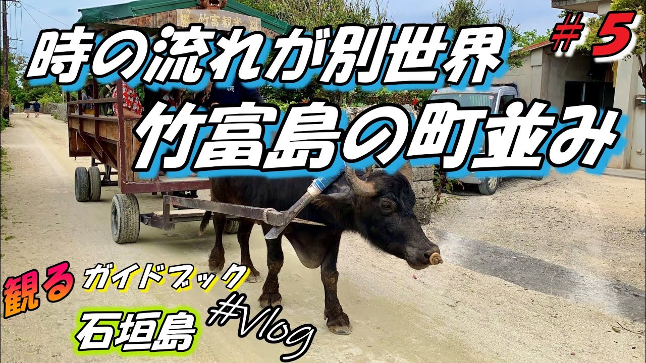 石垣島 5 竹富島の美しい町並みとグルメを紹介 観るガイドブック 沖縄 Vlog Youtube