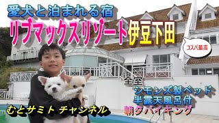 第21弾【愛犬と泊まれる宿】リブマックスリゾート伊豆下田　全室半露天風呂付、シモンズ製のベッド、朝夕バイキングでコスパ最高なホテル
