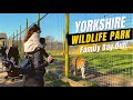 Fun Things To Do In South Yorkshire - Yorkshire Wildlife Park