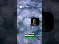 Создание платного Telegram канала Секреты IT!