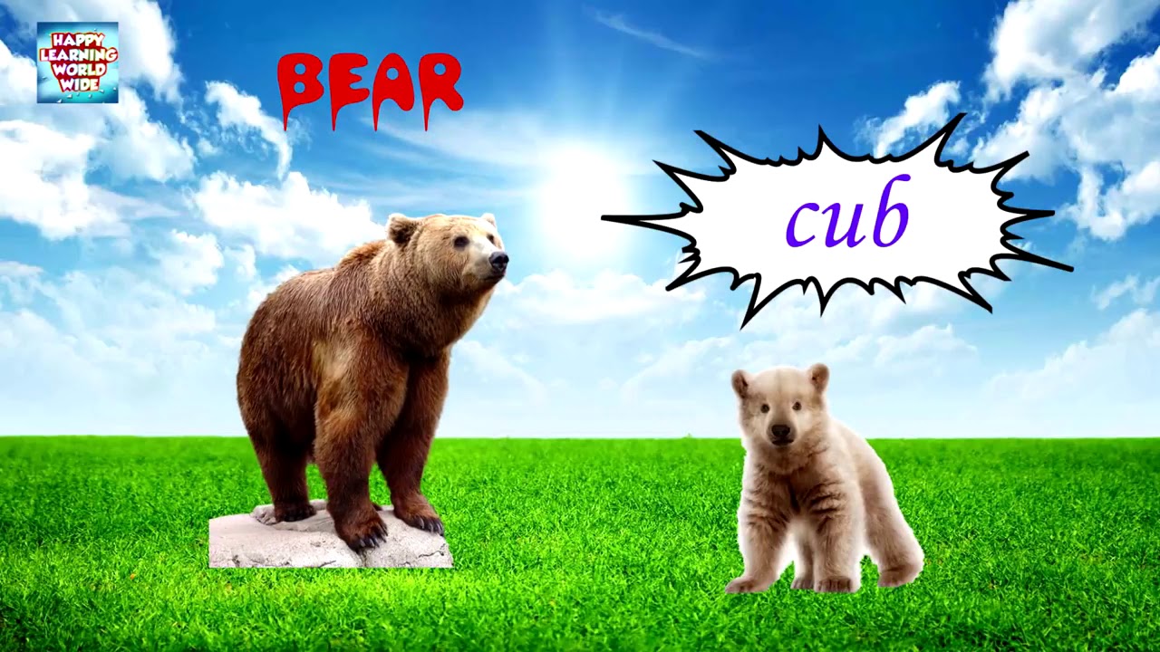 Animals And Their Young Ones Baby Animals Names Young Ones of Animals