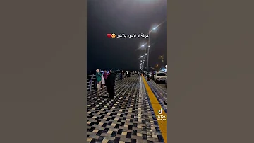 ارقام شباب للتعارف 07800223506 العراق صعدة لايك واتساب اليمن هشتاك 