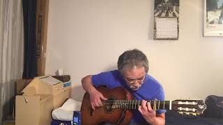 Video thumbnail of "I'll Never Fall In Love Again (Fingerstyle guitar)"