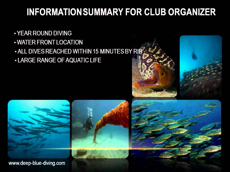 Deep Blue Diving Dive Center Fuerteventura Canary Isl