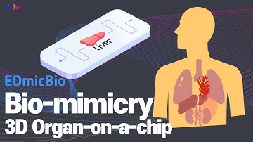 [EDMICBIO] Making human organs with 3D printers? (2020)
