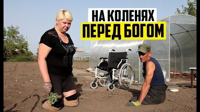 Социальные ролики, нацеленные на формирование толлерантного отношения граждан к проблемам инвалидов Социальные ролики, нацеленные на формирование толлерантного отношения граждан к проблемам инвалидов