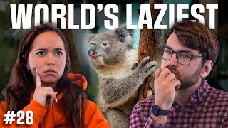 Download Lagu World's Laziest: Why Do Koalas Have Chlamydia? Download Lagu World's Laziest: Why Do Koalas Have Chlamydia?