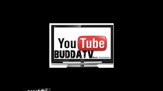 BUDDA TV BUDDA BALL @BUDDABALL1