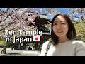 Learn Natural Japanese at a Zen Temple | Kamakura