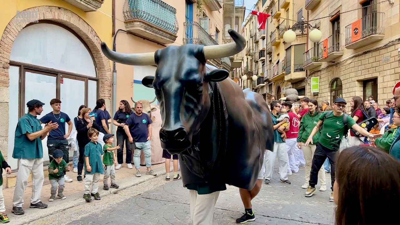 EL BOU DE REUS - Amb el 13è CORREBOUS