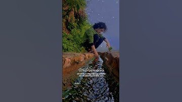 إن الله وملائكته يصلون على النبي تلاوة تريح القلب من أجمل ما ستسمع أحمد نجيب