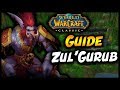 Wow classic  guide strat zulgurub zg fr 