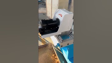 Wet feed extruder, floating fish feed machine, making cat food and dog food, floating fish feed