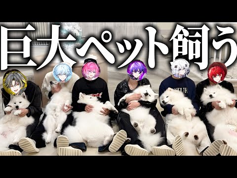 新しい家族が出来ました。