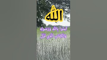 سورة النساء آية 136 | آمِنُوا بِاللَّهِ وَرَسُولِهِ وَالْكِتَابِ | تلاوة تهز القلوب - مشهد ريفي مؤثر