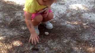 Touching bugs.  Getting courage to touch a caterpillar