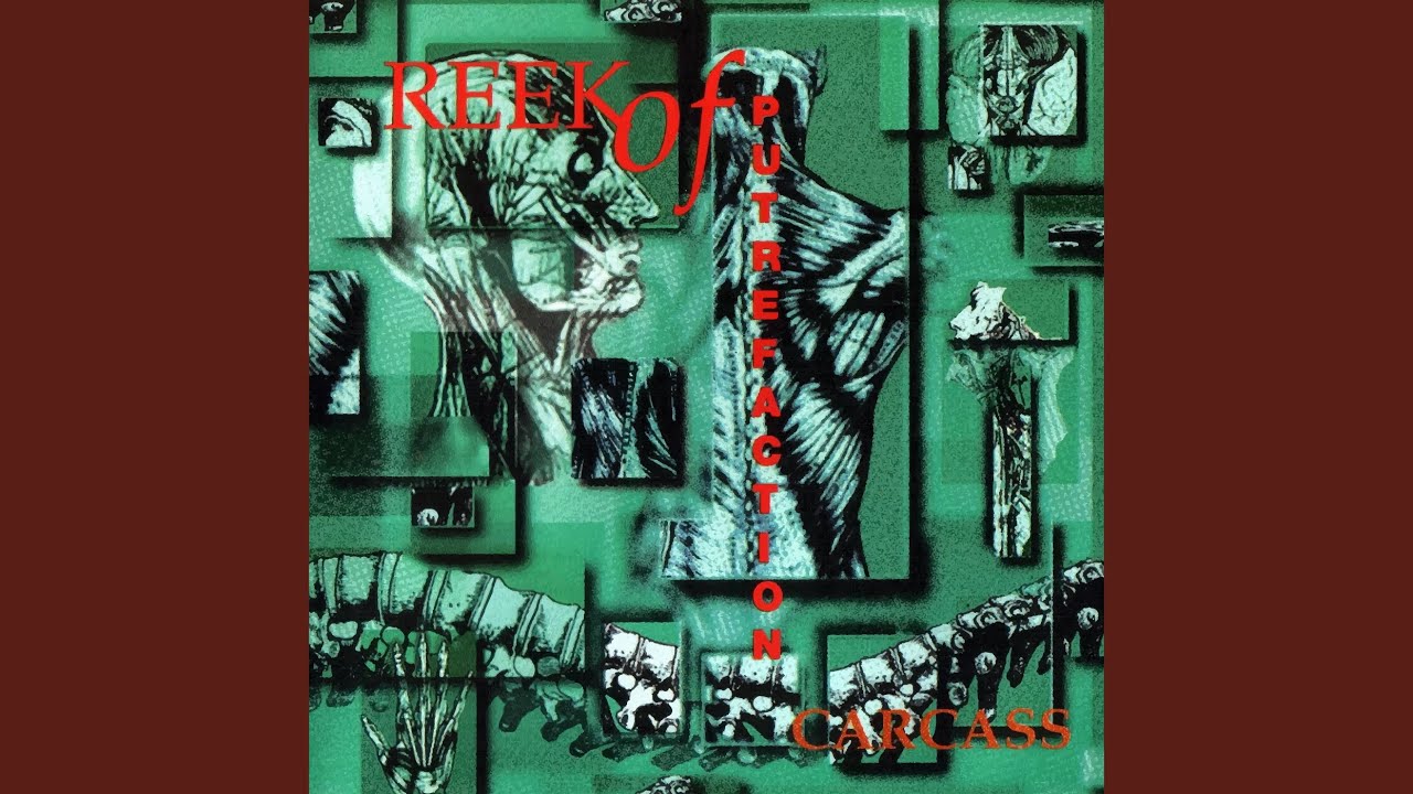 激レア Carcass Reek of Putrefaction レコード LP Amazon.com: Reek Of Putrefaction[LP]: CDs & Vinyl
