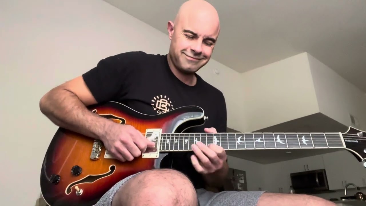 2020 PRS Hollowbody SE