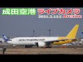 ①成田空港 ライブカメラ 2021/2/11 Planespotting Live from NARITA Airport  離着陸 Landing Takeoff ライブ配信