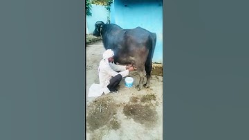 पिता के हौंसले नहीं टूटे मगर टूटते हुए देखा है फावड़ा तगाड़ी को #dsp #poetry