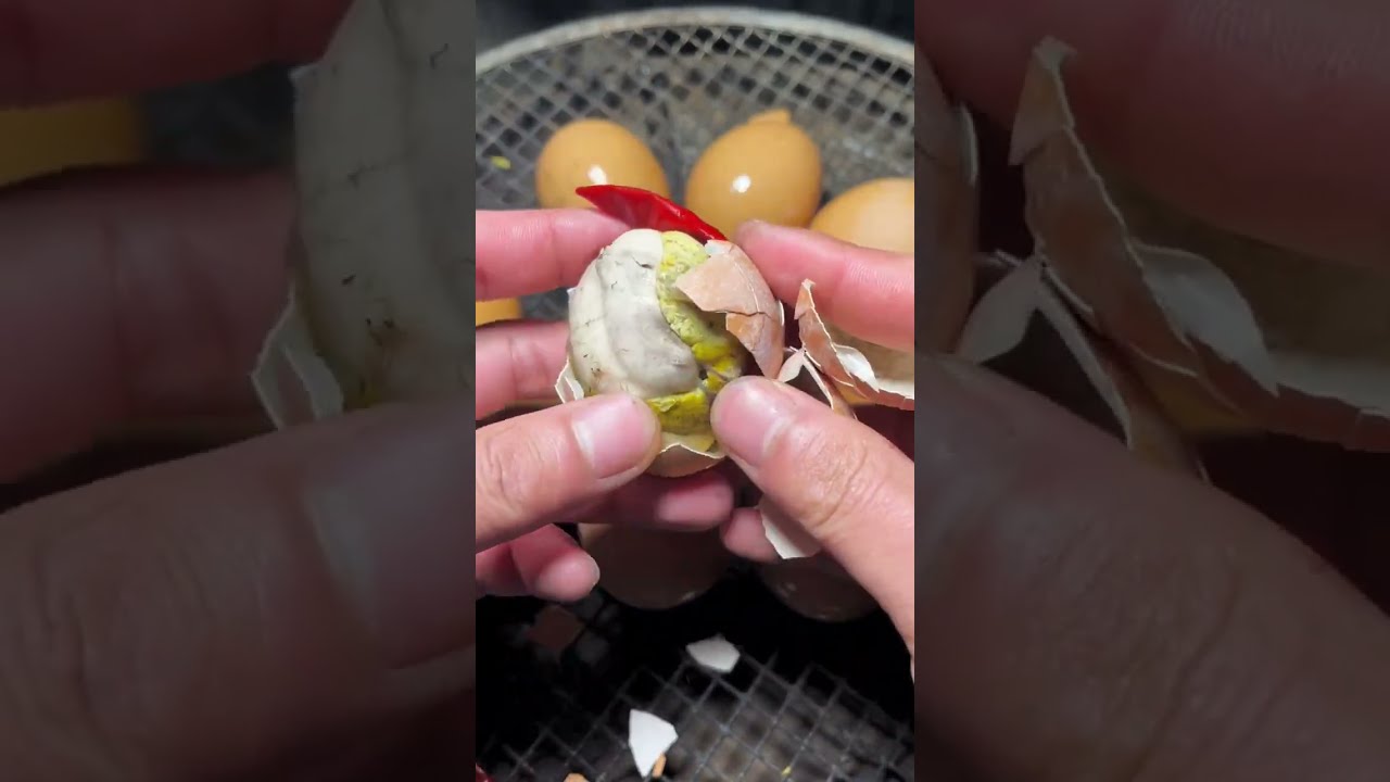 Hot Eating Eggs Shorts 3933