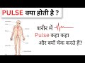 Sites of pulse in human body 