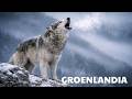 Leyes brutales – Supervivencia en el fin del mundo | Documental Animal