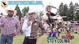 GUANAJUATO Y COLIMA CON SUS MEJORES TOROS¡¡RANCHO El ARENAL Y EL DIAMANTE EN TULALIP WASHINTON 2022