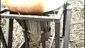 олег рубцов