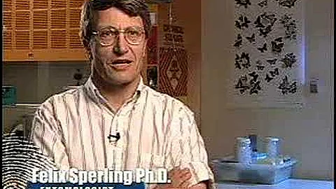 How can the study of entomology assist crime investigators?