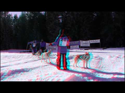 3D - Pacific Northwest Sled Dog Championship - Stereoscopic 3D red/cyan anaglyph