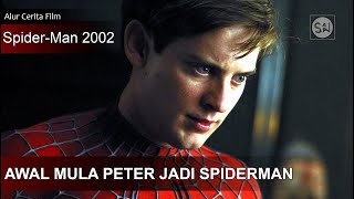 Spiderman pertama yang masih melegenda hingga saat ini.