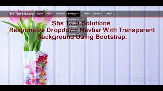 Responsive Dropdown Navbar With Transparent Background In Bootstrap | Transparent Dropdown Navbar