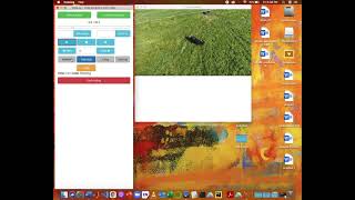 How to use CowLog animal behavior Software screenshot 4