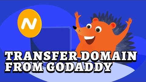 How to Transfer Domain from Godaddy to Namecheap on PC 2025?