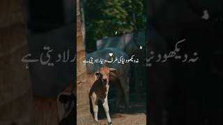 islamic poetry ll WhatsApp status ll Urdu Hadees #shorts #islam #hadees