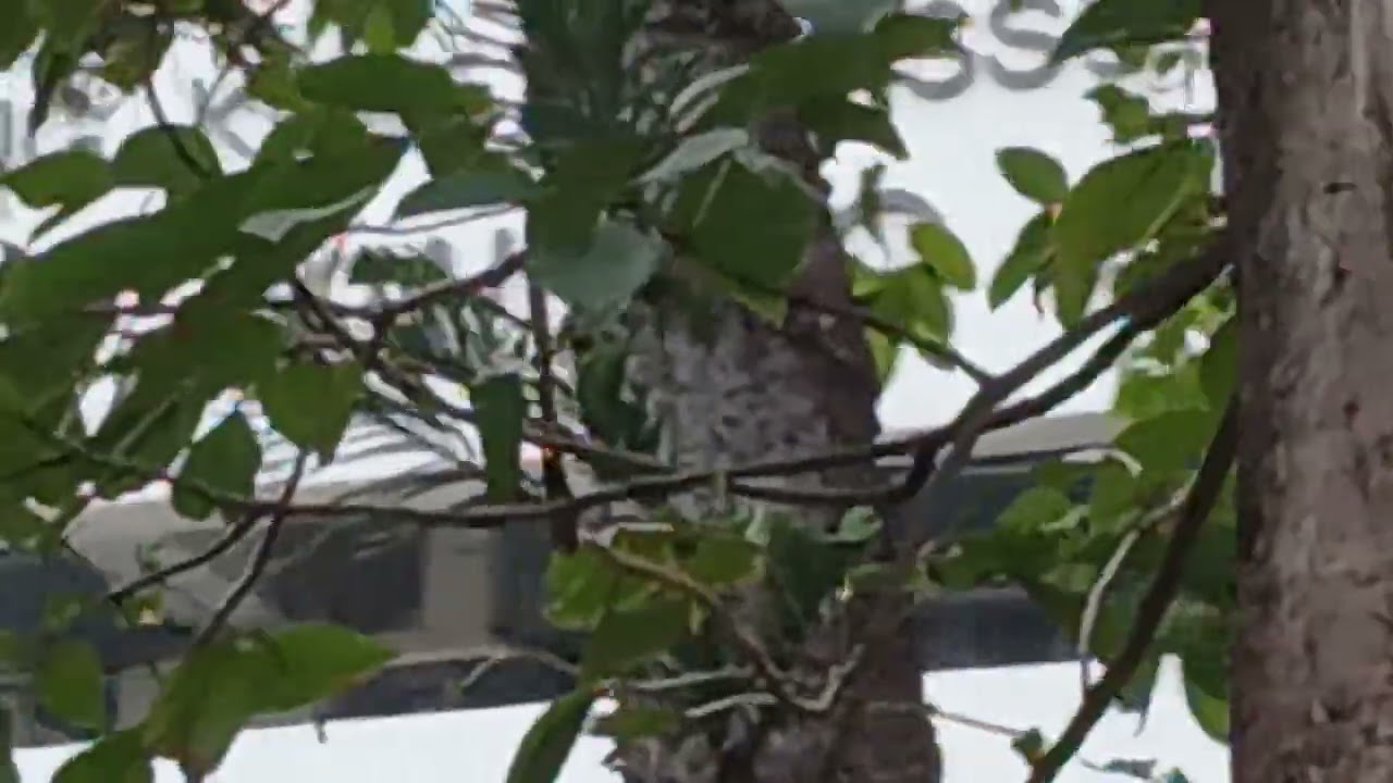 KDK wall fan & Jee exhaust fan by classroom 