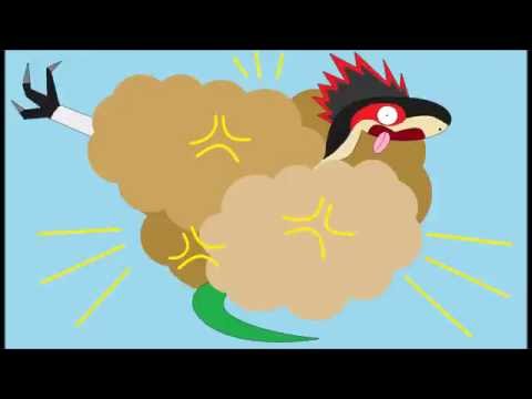 Elite Raptors Clip - 
