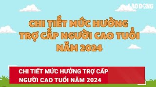 Chi tiết mức hưởng trợ cấp người cao tuổi năm 2024 | Báo Lao Động