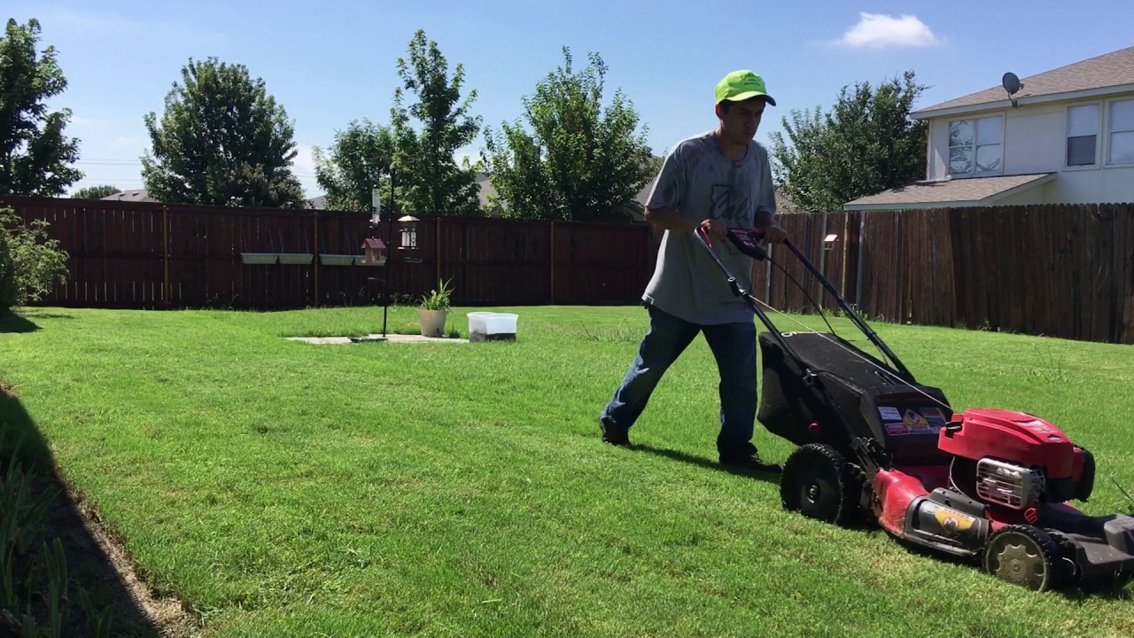 How To Dispose Of Bagged Grass at William Loomis blog