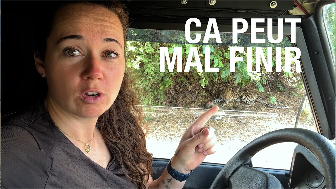 Camper seule dans la savane africaine : bonne ou mauvaise idée ?