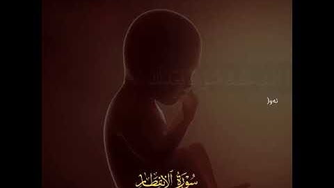 آيات بينات من سوره الانفطار بصوت القارى الشيخ ياسر الدوسري 🤍