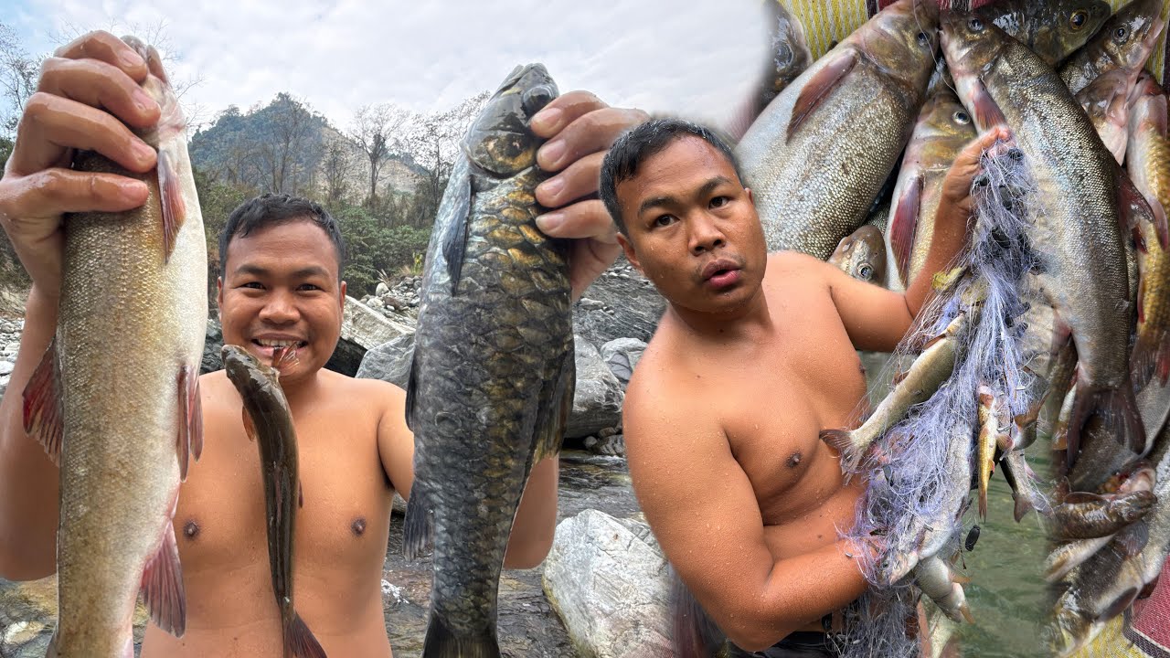 “Unbelievable Fishing Adventure: Caught a GIANT Fish by Netting | You Won't Believe the Size