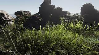 Wind in Unity