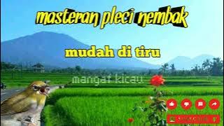 masteran pleci nembak-mudah ditiru
