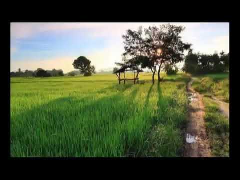 อีสานลำเพลิน ต่าย อรทัย