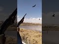 صيد صيدنغاق قمري صيادين السلوم